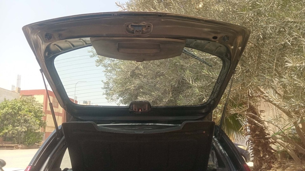 TRUNK HOOD