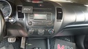 MULTIMEDIA SCREEN