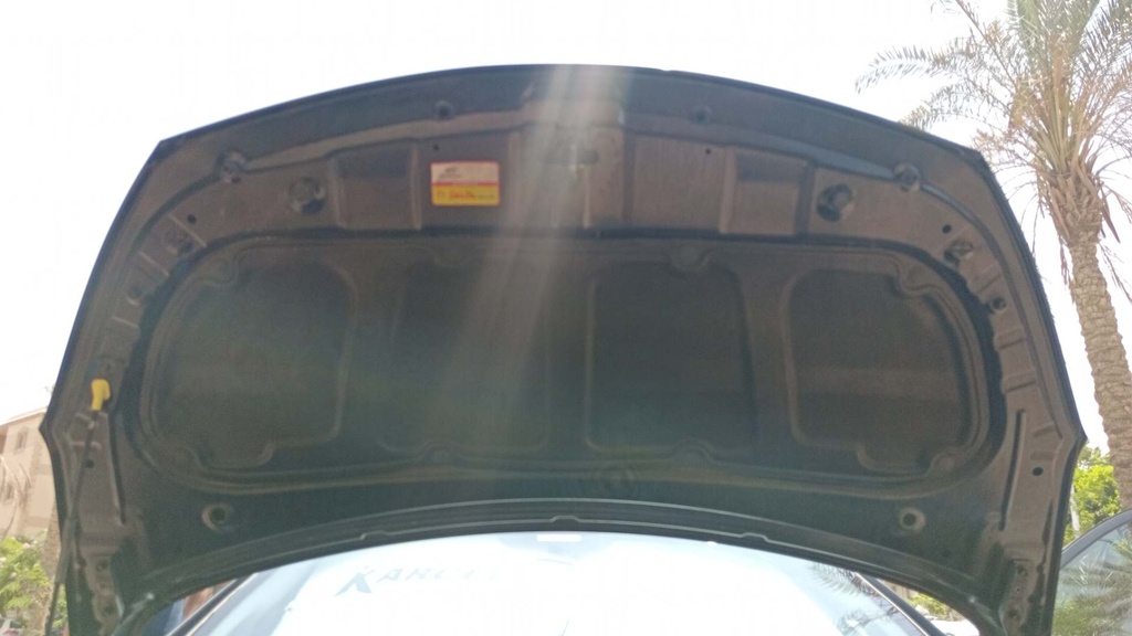 CAR HOOD