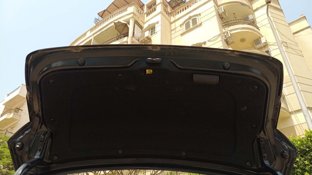 TRUNK HOOD
