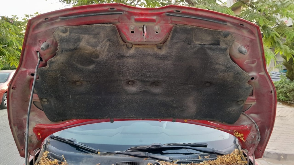 CAR HOOD