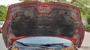 CAR HOOD