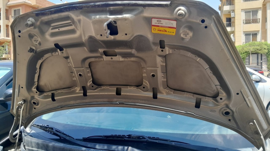 CAR HOOD