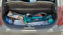 TRUNK