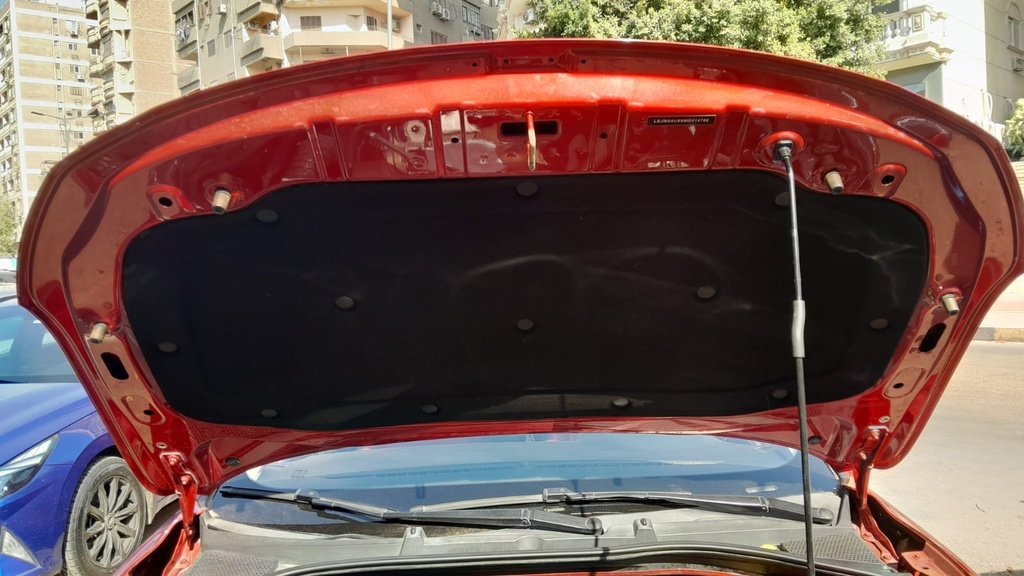 CAR HOOD