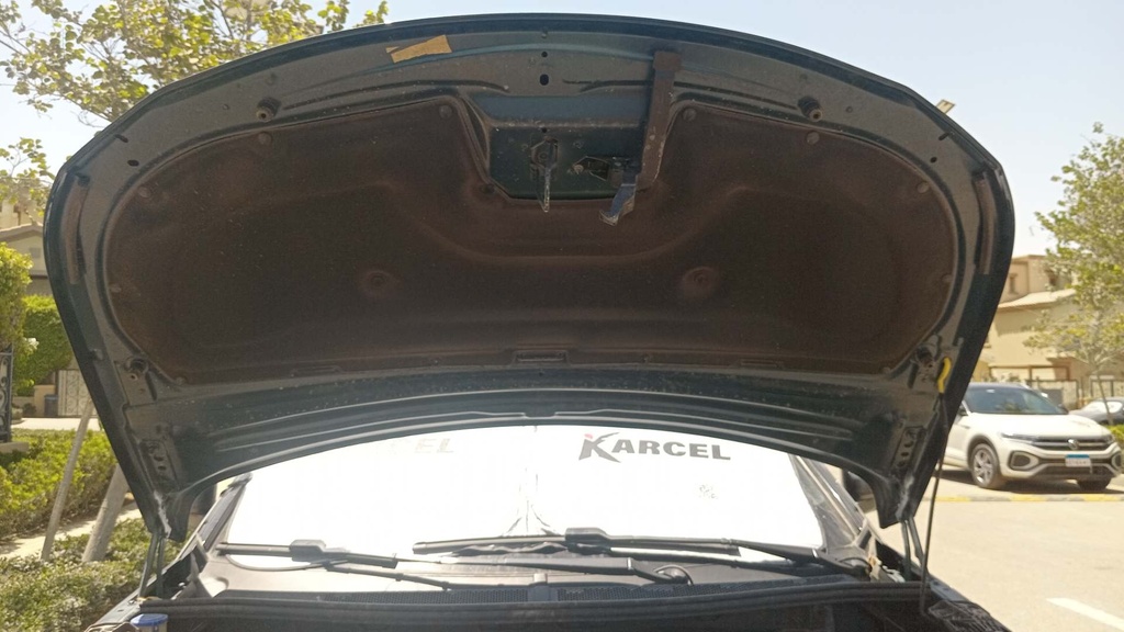 CAR HOOD