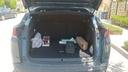 TRUNK