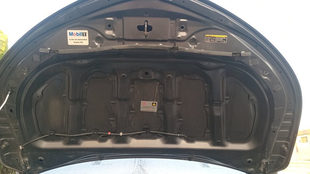 CAR HOOD