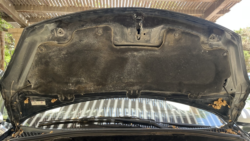 CAR HOOD