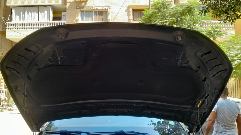 CAR HOOD