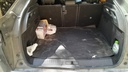 TRUNK