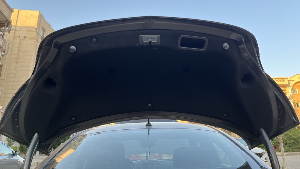 TRUNK HOOD