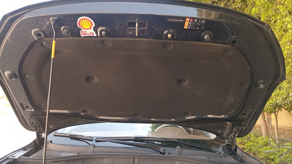CAR HOOD
