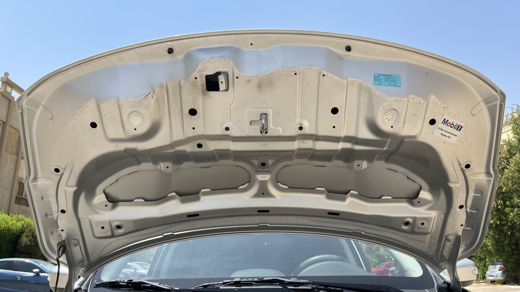 CAR HOOD