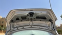 TRUNK HOOD