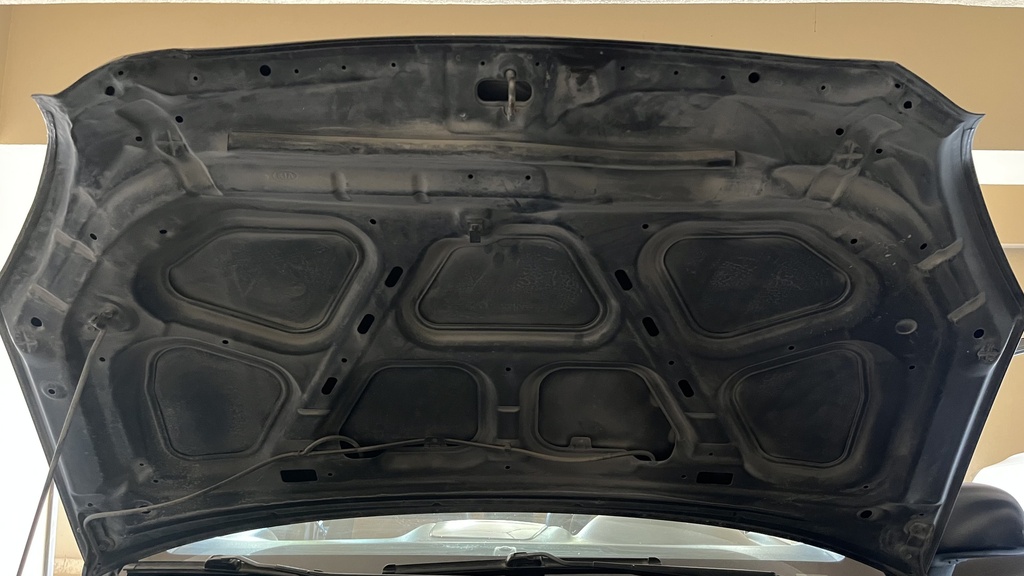 CAR HOOD