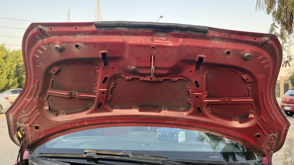 CAR HOOD