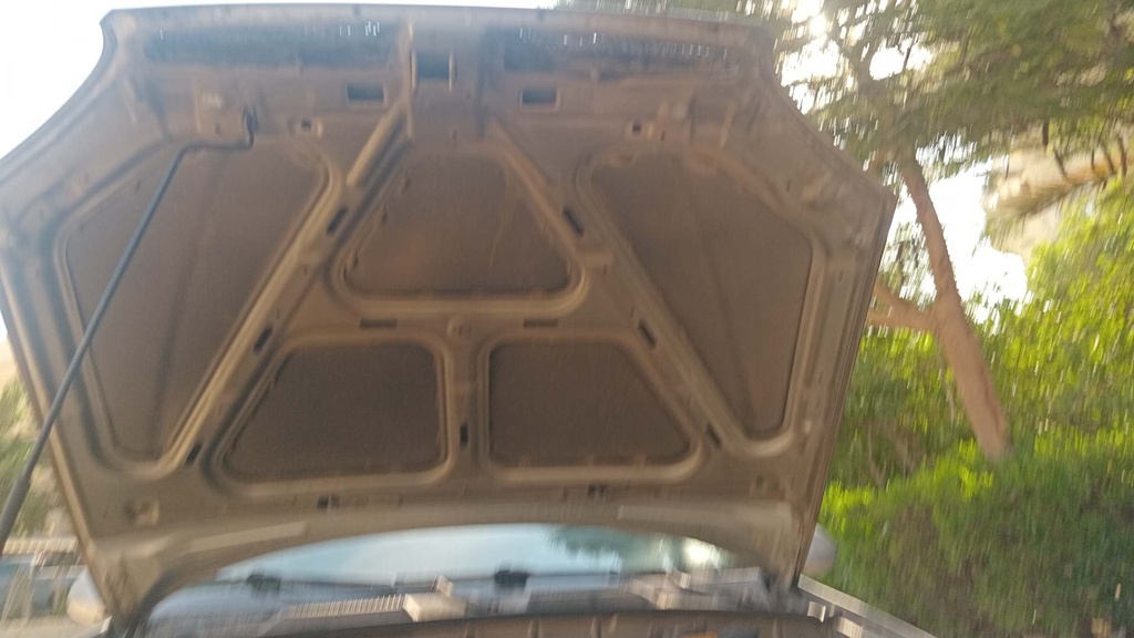 CAR HOOD
