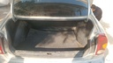 TRUNK