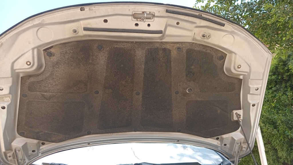 CAR HOOD