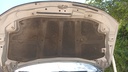 TRUNK HOOD