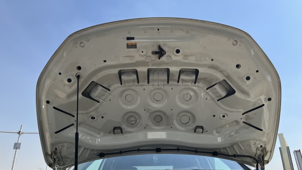CAR HOOD