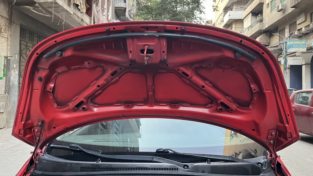CAR HOOD