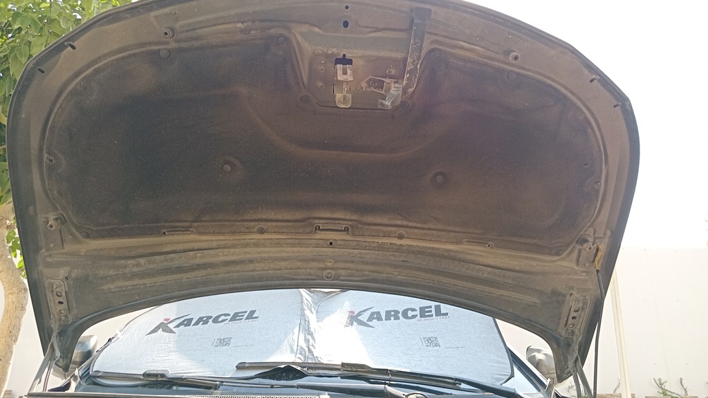 CAR HOOD