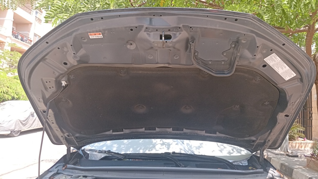 CAR HOOD