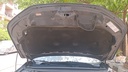 CAR HOOD