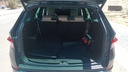 TRUNK