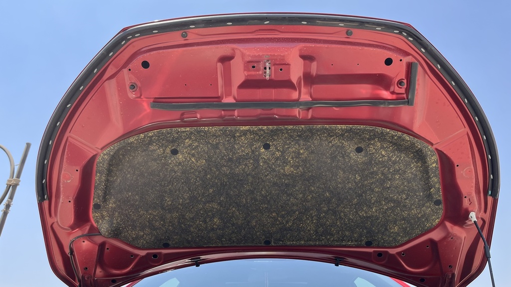 CAR HOOD