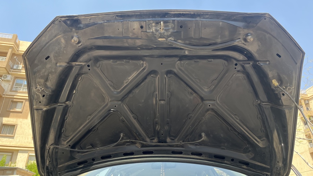 CAR HOOD
