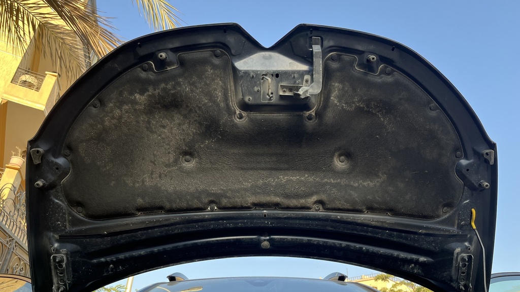 CAR HOOD
