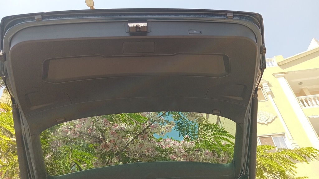 TRUNK HOOD