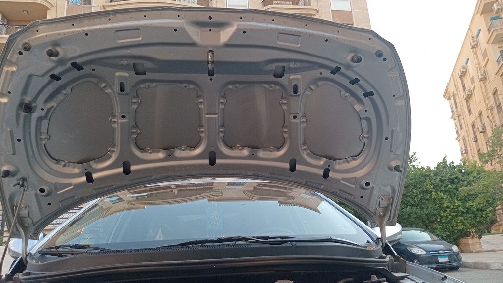 CAR HOOD
