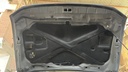 CAR HOOD