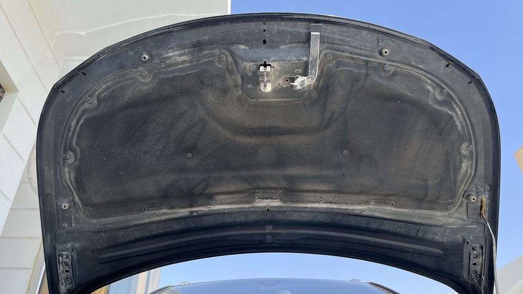 CAR HOOD