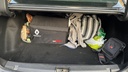 TRUNK