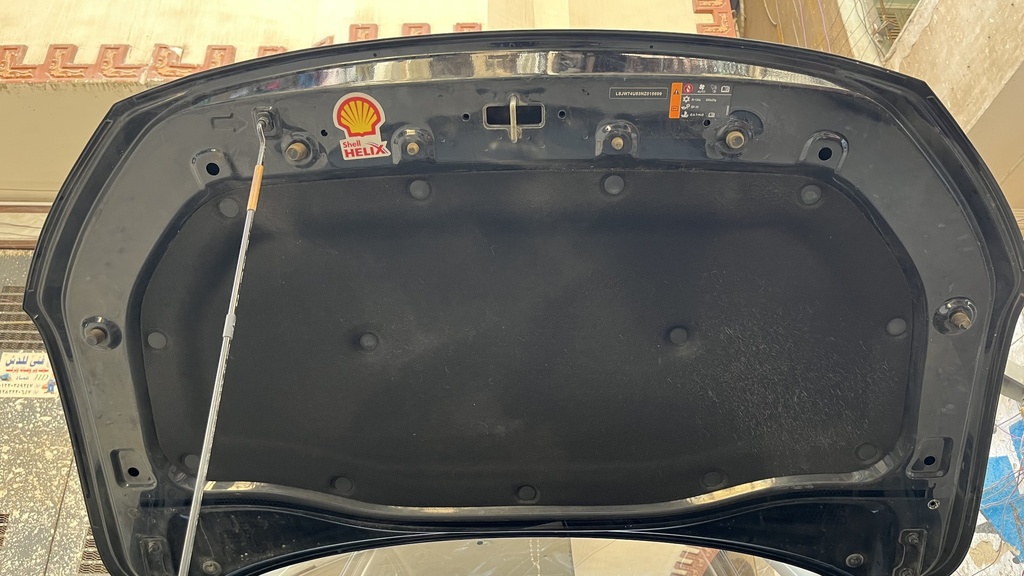 CAR HOOD