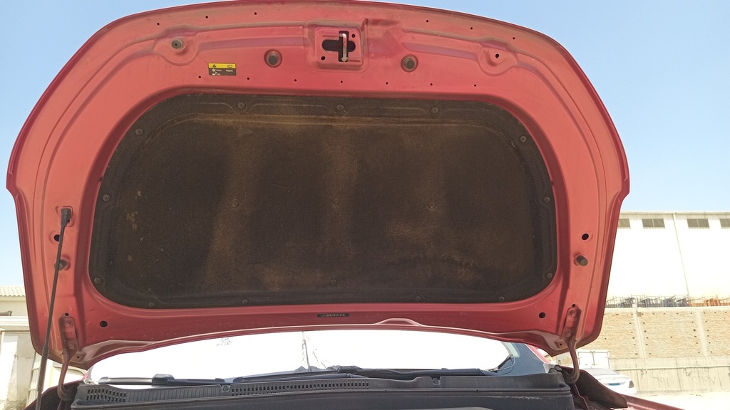 CAR HOOD