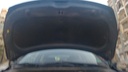 CAR HOOD