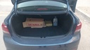 TRUNK