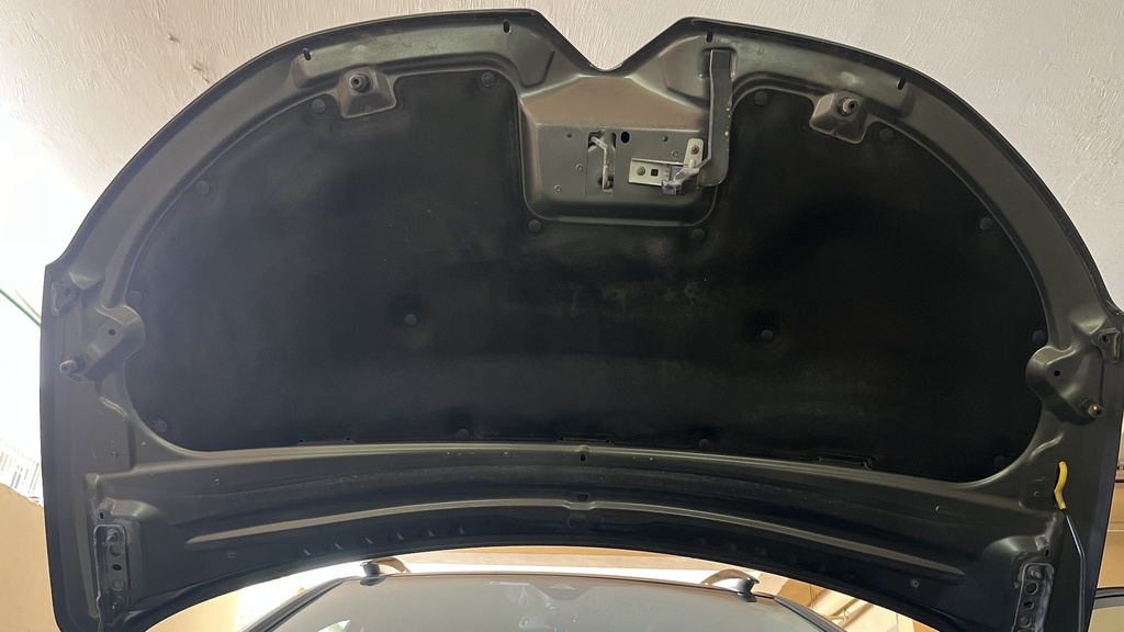 CAR HOOD