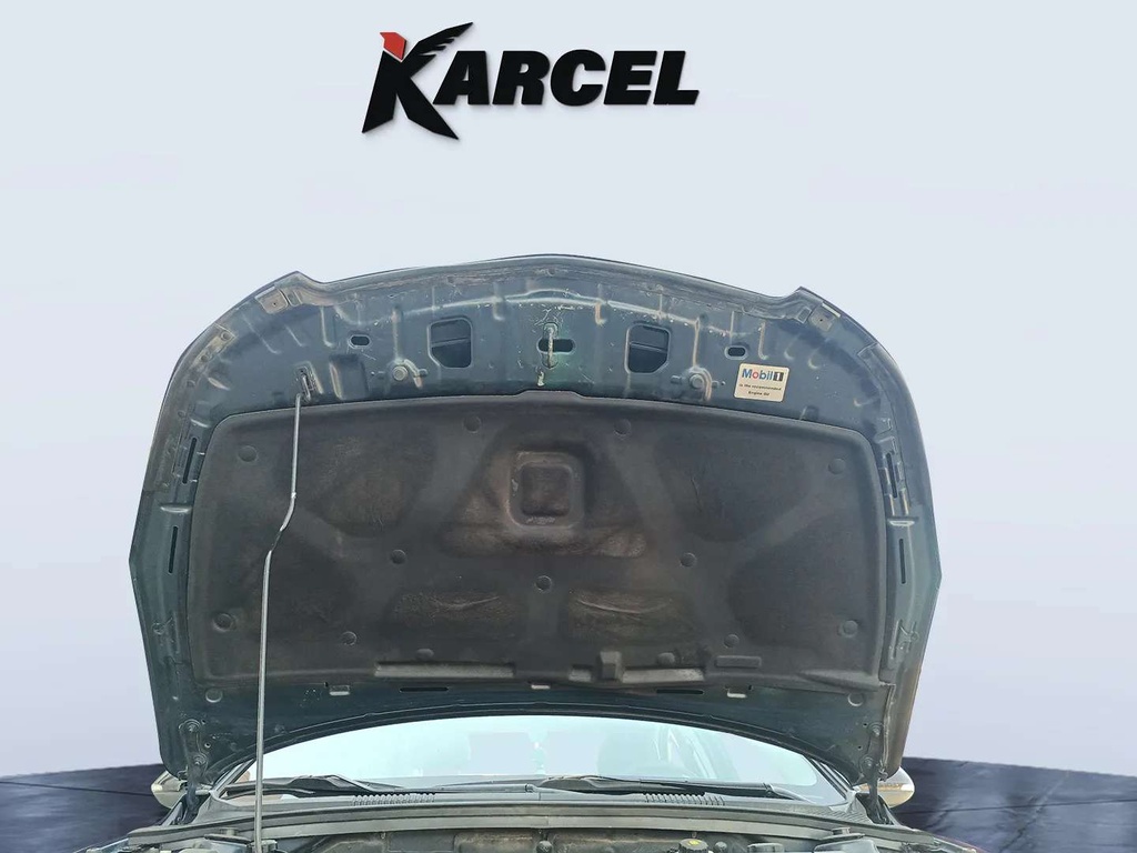 CAR HOOD