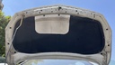CAR HOOD