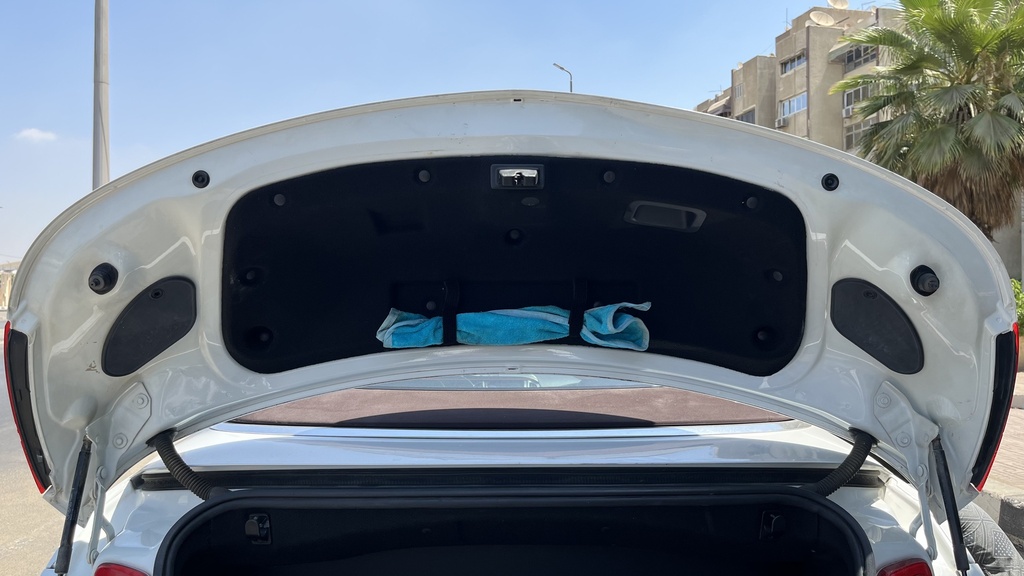 TRUNK HOOD