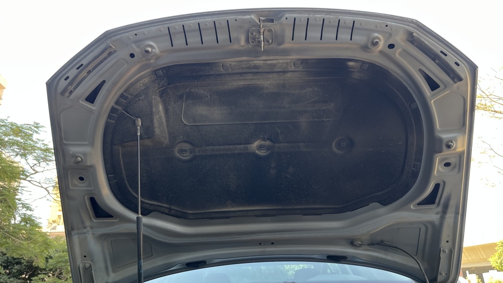 CAR HOOD