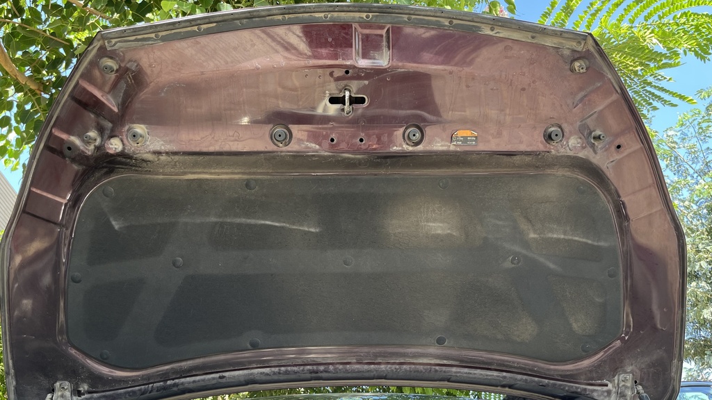 CAR HOOD