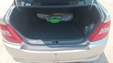 TRUNK